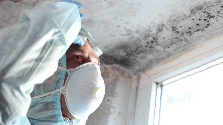 Trusted Evansville, WI Mold Removal Experts